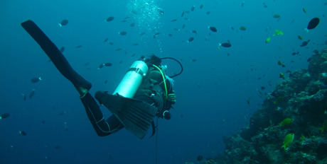 Diving-in-the-Bahamas.jpg